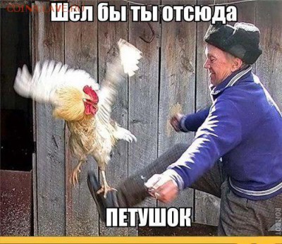 Россия и Украина все-таки друзья, враги или что-то среднее? - WQH9SZtaoW0