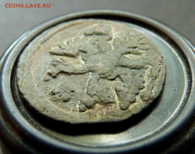 1737 полушка. аук до вечера! 28.06 - P1140421.JPG