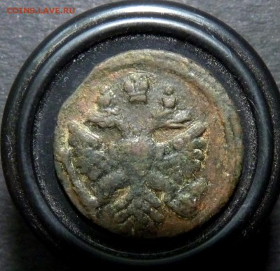 1737 полушка. аук до вечера! 28.06 - P1140422.JPG