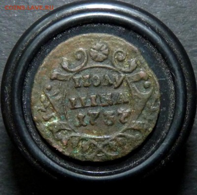 1737 полушка. аук до вечера! 28.06 - P1140423.JPG