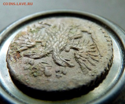 1749 полушка. аук до вечера! 28.06 - P1140428.JPG