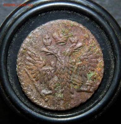 1749 полушка. аук до вечера! 28.06 - P1140427.JPG