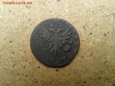 полушка Петра 1713г до 30.06.2016г - 20160628_134554