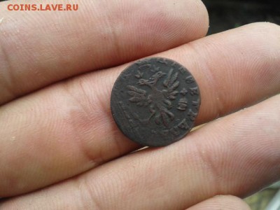 полушка Петра 1713г до 30.06.2016г - 20160628_134617