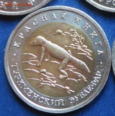Кр. Книга 1993г. Зублефар до 4.07.16 - ящер (2).JPG