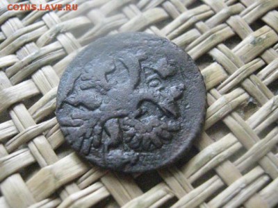 Полушка 1738г. До 4.07.2016г. - 4.07 115.JPG