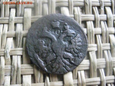 Полушка 1738г. До 4.07.2016г. - 4.07 113.JPG