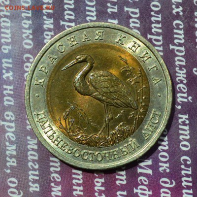 Красная книга Дальневосточный аист до 3.07 в 22:45 - аист а