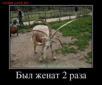 веселые картинки - 1467143457_11
