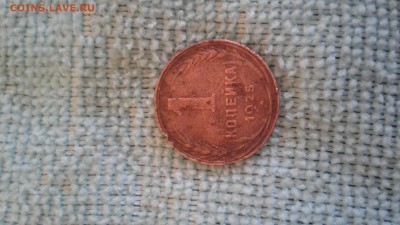 1 копейка 1925 г. - 20160629_205729