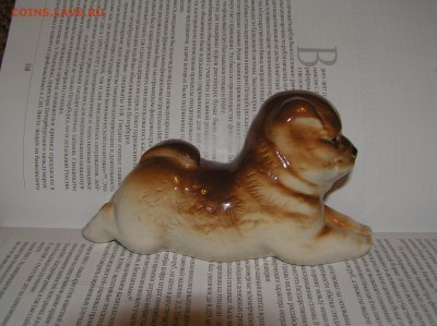 собака Чау-чау ЛФЗ - P1010035.JPG