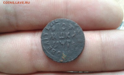 полушка Петра 1713г до 30.06.2016г - 20160630_093047