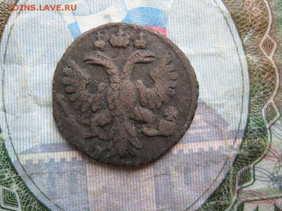 Полушка 1735г.до4.07. - IMG_1331.JPG