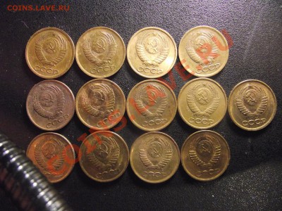 1 копешники разновиды сломал холову - 2010_11220012.JPG