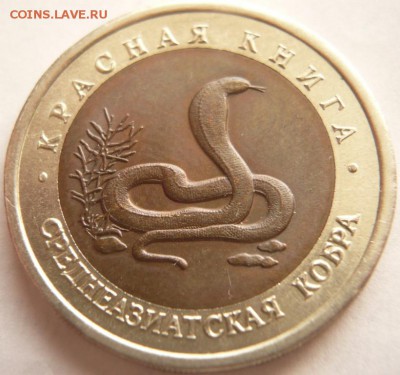 10 руб. К.к. кобра 1992 г. до 22-00. 05.07.16 г. мск - P1360430.JPG