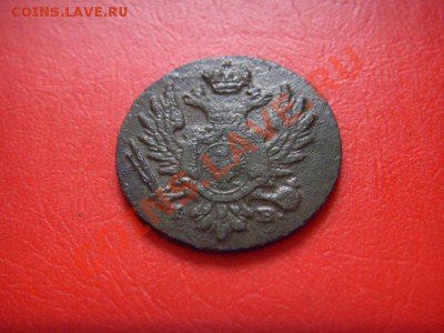 Предаук. 1 грош 1825 года, приличный. - LPIC9919.JPG