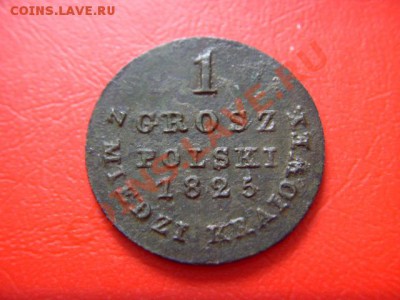 Предаук. 1 грош 1825 года, приличный. - LPIC9914.JPG