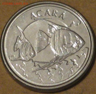 Бразилия 1000 крузейро 1993 Рыба - Акара - brazilija_1000_kruzejro_1993_ryba_akara_mnogo_s_rublja1