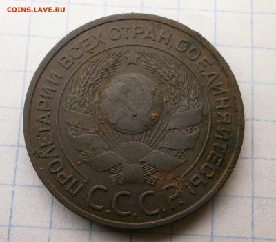 3 копейки 1924 года. 4 стебля в правом срезе. - 4037962