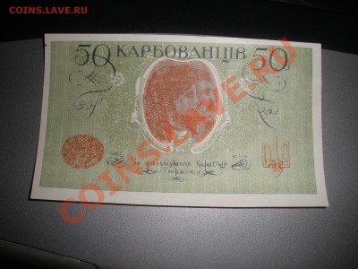 3 - 4 003.JPG