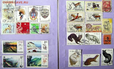 Альбом. Флора-Фауна (есть негаш)  + кляссер +2мал.л. = 500р - 5