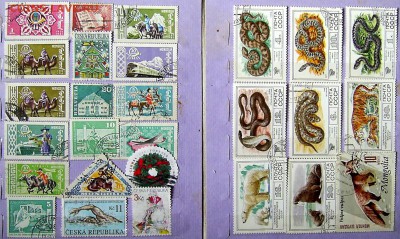 Альбом. Флора-Фауна (есть негаш)  + кляссер +2мал.л. = 500р - 7