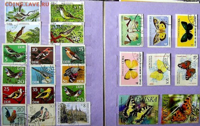 Альбом. Флора-Фауна (есть негаш)  + кляссер +2мал.л. = 500р - 8