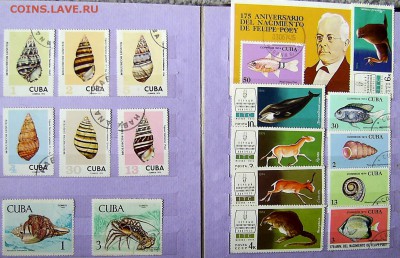 Альбом. Флора-Фауна (есть негаш)  + кляссер +2мал.л. = 500р - 9