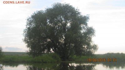 ФОТО - просто фото. Те что получились удачными. - 02