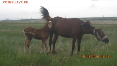 ФОТО - просто фото. Те что получились удачными. - 03