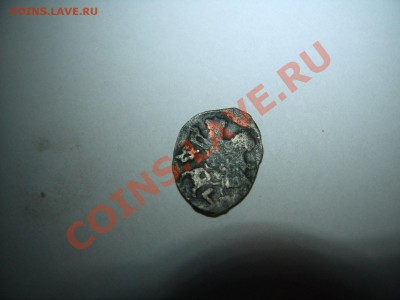 Чешуя на определение. - SUC53214.JPG