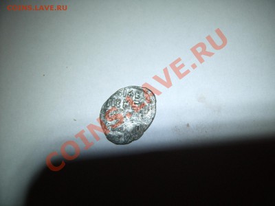 Чешуя на определение. - SUC53224.JPG