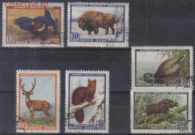 СССР 1957г Фауна СССР до 4.07 22.00мск - СССР 1957г Фауна СССР