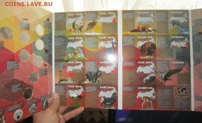 Продам в САМАРЕ! - IMG_0771