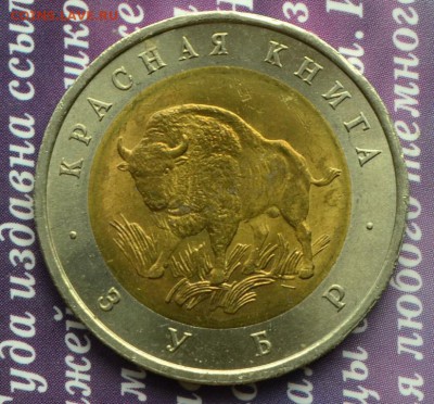 50 рублей 1994 Красная книга Зубр 04.07.2016 22-00 - зубр анц а