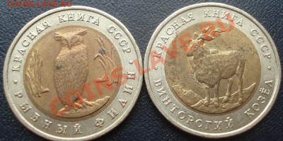 Красная книга 1991(2 шт) до 25.11.10(21-00) - Красная Книга 1991 ав.JPG