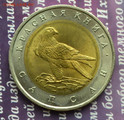 Красная книга Сапсан №2 до 7.07 в 22:27 мск - сапсан анц а