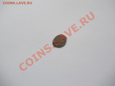 чешуя - P2160003.JPG
