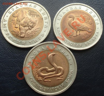 Красная книга 1992 (комплект) до 25.11.10(21-00) - Красная книга 1992 ав.JPG