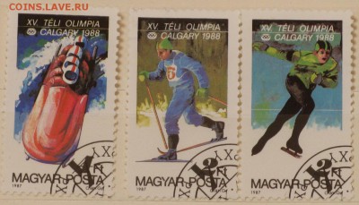 Венгрия Олимпиада - IMG_7304.JPG