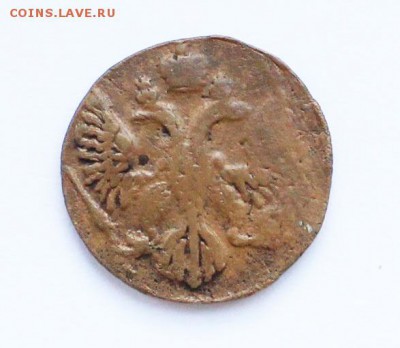 Медь на оценку - 1745-2.JPG