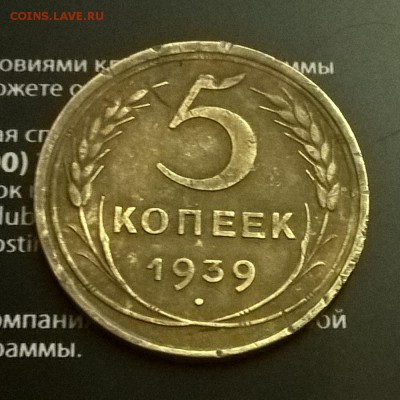Фото без вспышки при искуственом освещении - 3