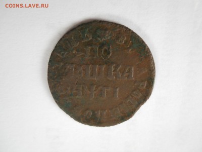 Полушка 1713 год - DSCN6556.JPG