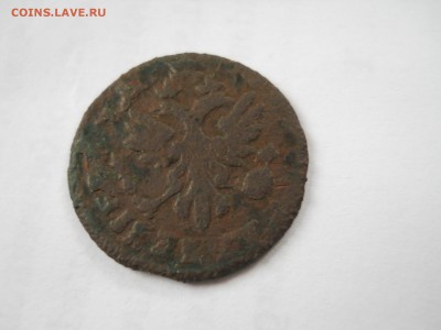 Полушка 1713 год - DSCN6564.JPG