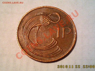 1Р-павлин-арфа - страна ? - IMG2969