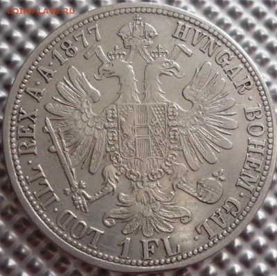 АВСТРО-ВЕНГРИЯ. 1 флорин 1877г. до 09.07.16(21-00Мск) - P1150766.JPG
