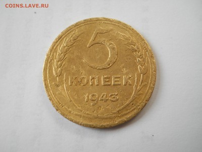 Ранние советы на чистку - DSCN6565.JPG
