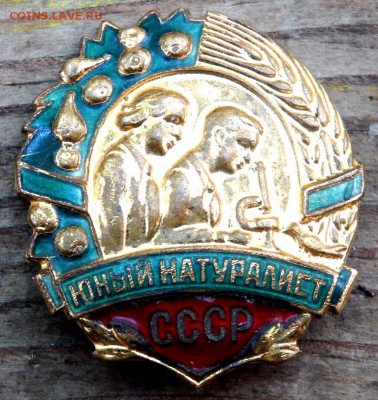 знак юный натуралист СССР оценка - P7072700.JPG