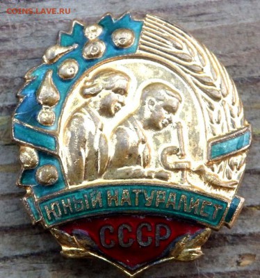 знак юный натуралист СССР оценка - P7072698.JPG