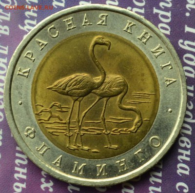 Красная книга 1994г комплект (ХОРОШЕНЬКИЙ) до 13.07 до 22:15 - фламинго анц а